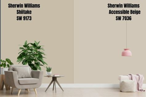 Sherwin Williams Heron Plume Walls, Sw Heron Plume Walls, Sw Heron Plume, Heron Plume Sherwin Williams, Sherwin Williams Shiitake, Sherwin Williams Requisite Gray, Heron Plume, Alpaca Sherwin Williams, Accessible Beige Sherwin Williams