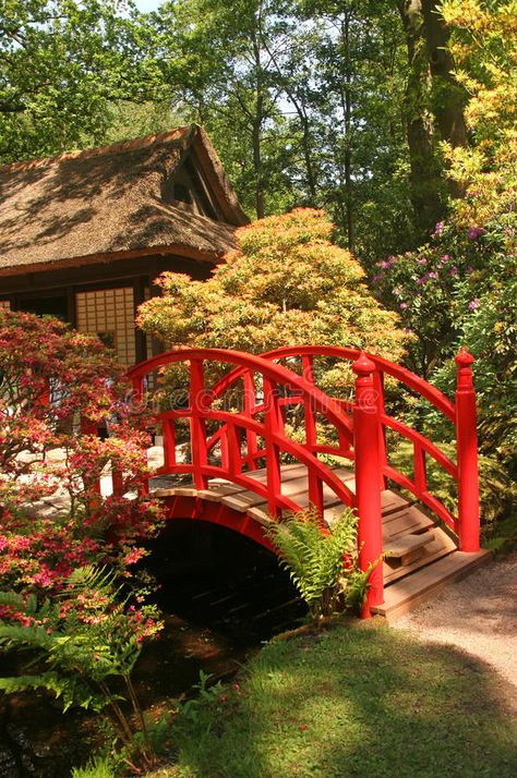 Japanese Water Gardens, Japanese Style Garden, Japanese Bridge, Japanese Garden Landscape, Backyard Hammock, Japan Architecture, Japan Garden, Asian Garden, Japanese Garden Design