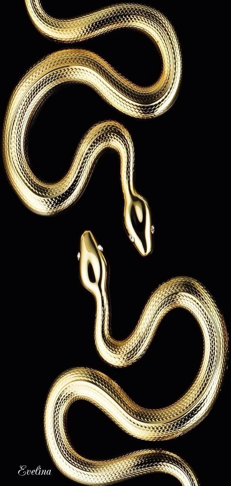 "Would you please just listen to me?" Gold And Black Wallpaper, Black And Gold Aesthetic, Egiptul Antic, Golden Snake, Snake Wallpaper, Snake Art, Gold Aesthetic, Gold Wallpaper, Black White Gold