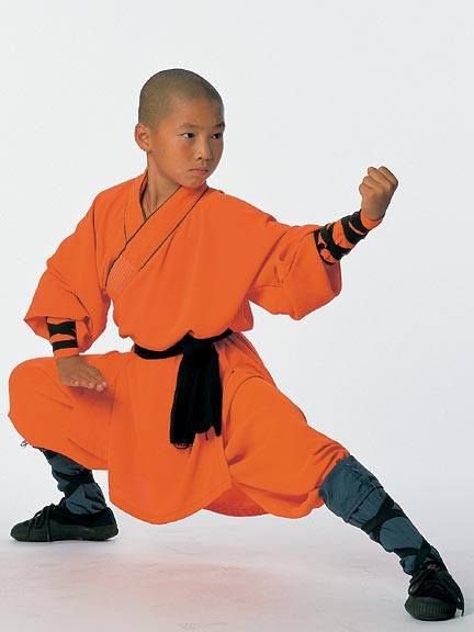 Dynamic Martial Arts Poses, Baguazhang Poses, Monk Poses Reference, Martial Arts Poses Reference, Kung Fu Poses Reference, Kungfu Pose, Martial Art Poses, Martial Arts Reference, Kung Fu Poses