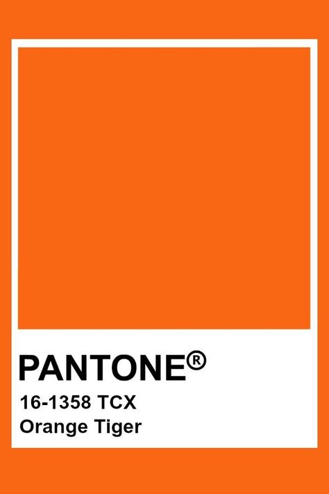 Pantone Colour Swatches, Pantone Orange, Pantone Tcx, Photowall Ideas, Pantone Fall, Cv Inspiration, Pantone Swatches, Pantone 2020, Pantone Palette