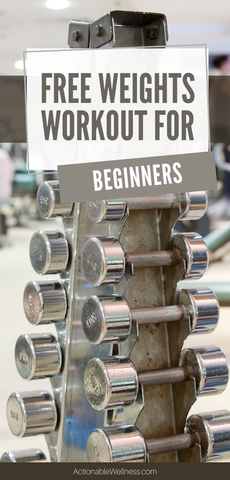 Free Weights Workout for Beginners-Actionable Wellness Free Weights Workout, Weightlifting For Beginners, Dumbbell Workout Plan, Easy Workouts For Beginners, Free Weight Workout, Gym Dumbbells, Dumbell Workout, Building Strength, Workout Plan For Beginners