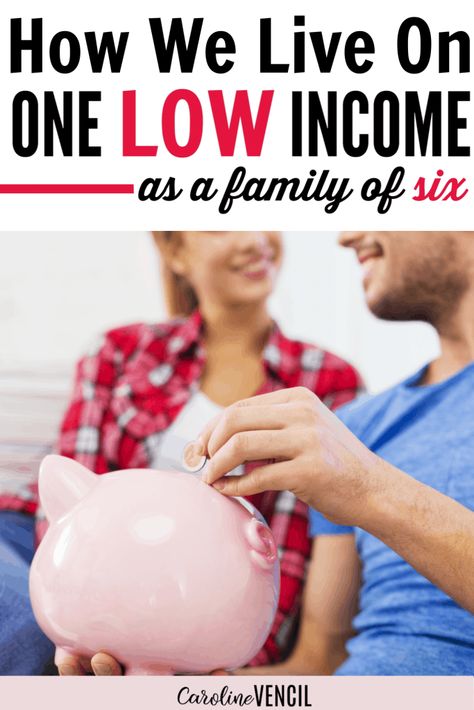 How to live on one income. Hot to start living frugally on a budget. Great tips and tricks for beginners. Perfect for stay at home moms looking to save more money. Frugal living is easier when you have a goal. She shares how her family of 6 lived off of $17,000 each year! Easy ways to save more money. Learn how to save money and budget. How to live well on a low income. Live On One Income, One Income Family, Money Saving Mom, Money Frugal, Family Of Five, Family Budget, Family Finance, Making A Budget, Start Saving Money