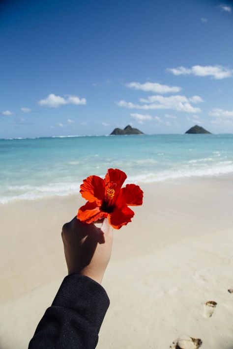 hibiscus Vibes Tumblr, Beach Wallpaper Iphone, Lanikai Beach, Red Beach, Beach Wallpaper, Flower Quotes, Tumblr Wallpaper, Summer Wallpaper, Tropical Vibes