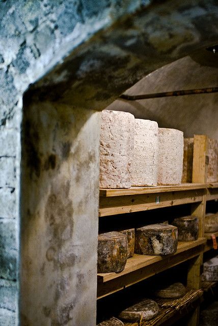 Cheese Cellar, Cheese Cave, Cheese Making Recipes, Aged Cheese, Cheese Maker, Root Cellar, Cheese Making, Dairy Goats, Artisan Cheese