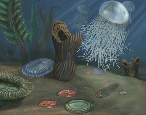 Earth’s first animals had soft bodies. This illustration shows a community of soft-bodied Ediacaran (edi-A-karan) animals. Secondary Science, Ancient Animals, Paleo Art, Prehistoric Creatures, Smithsonian Institution, Ocean Creatures, Earth Science, Unusual Gifts, Mother Earth