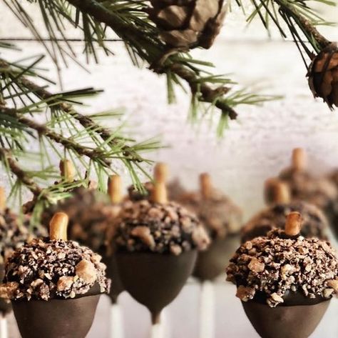 Lisa Troy | Lettered By Lisa on Instagram: "When a client asks for woodland themed cake pops for a baby shower, my answer is.....YES! These acorns may look nutty but they’re actually moist devil’s food cake pops with a milk chocolate dip and yummy toffee topping! I love being creative in my orders and making things I haven’t before. Are you or someone you know looking for a unique treat for a special event? Whether it’s unique shapes, crazy themes, or fun flavors- I’d love to help! :) • • • #cakepops #acorn #cakepop #cakepoppin #dessert #themedesserts #woodland #woodlandbabyshower #babyshower #babyshowerideas #cakebites #cakeballs #acorncakepops #cakeonastick #babyshowerdesserts #customcakepops #yum #chocolate #letteredbylisa #acorntheme" Hunting Cake Pops, Acorn Cake Pops, Woodland Themed Cake, Bear Cake Pops, Gender Reveal Cake Pops, Themed Cake Pops, Mushroom Cake, Hunting Cake, Chocolate Dip