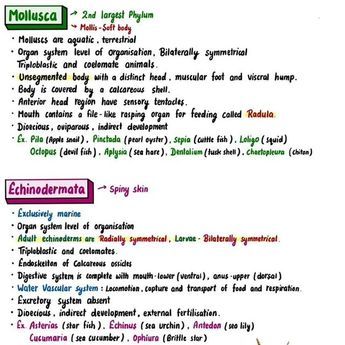 Animal Kingdom Notes, Allen Kota, Neet Notes, Organ System, Biology Notes, College Study, Animal Kingdom, Biology, Link In Bio