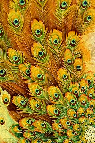 <3 Peacock Art, Peacock Feathers, Peacock Feather, Mellow Yellow, Pattern Iphone, Shades Of Yellow, Happy Colors, Cool Stuff, Iphone Background