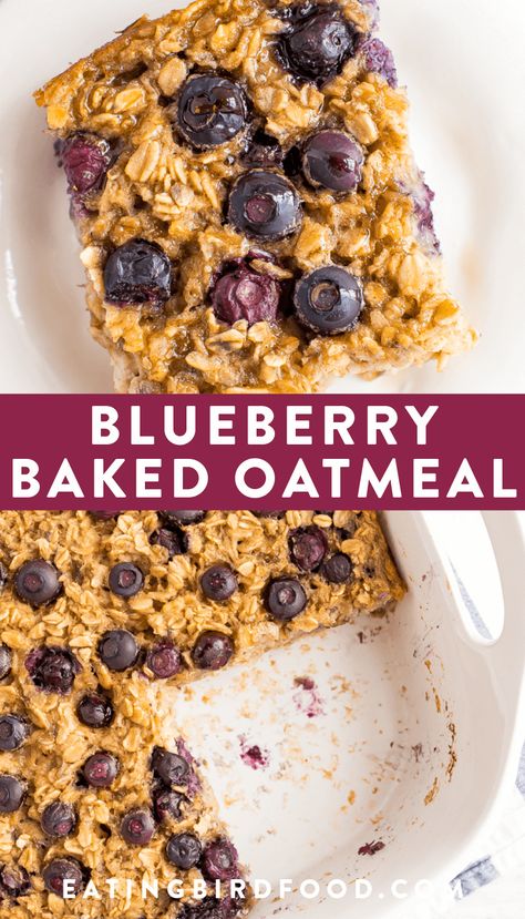 This blueberry baked oatmeal is studded with blueberries and naturally sweetened with bananas and pure maple syrup. Can be made with fresh or frozen blueberries! Gluten-free and vegan-friendly. #bakedoatmeal #blueberry #oatmeal #vegan #glutenfree Lemon Blueberry Oatmeal Bars, Lemon Oatmeal, Blueberry Baked Oatmeal, Yogurt Frosting, Blueberry Oatmeal Bake, Oatmeal Vegan, Baked Oatmeal Healthy, Baked Oatmeal Recipes, Lemon Yogurt