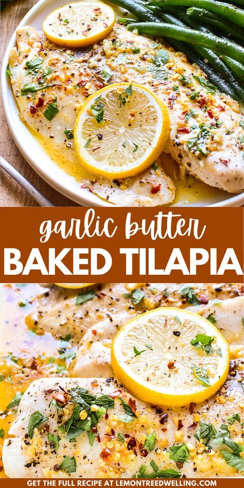 Deliciously flavorful Garlic Butter Baked Tilapia – ready in 20 minutes or less! Perfectly seasoned with a blend of melted butter, garlic, lemon juice, and spices, this recipe is easy, foolproof, and guaranteed to make a tilapia lover out of anyone. Lemon Butter Garlic Fish, Tilapia Seasoning, Best Tilapia Recipe, How To Cook Tilapia, Tilapia Dinner, Tilapia Recipes Healthy, Healthy Tilapia, Lemon Butter Tilapia, Tilapia Recipes Easy