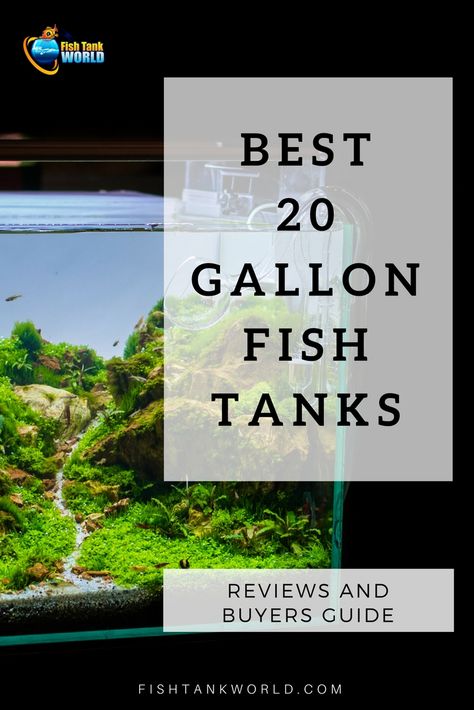 20 gallon fish tank is a good starter size for beginners. 20 gallon aquarium is the smallest aquarium size recommended to start with.  #fishtank 20 Gallon Fish Tank, Fish For Beginners, Goldfish Care, 20 Gallon Aquarium, Nano Reef Tank, Fish Tank Ideas, Goldfish Aquarium, Goldfish Tank, Fresh Water Fish Tank