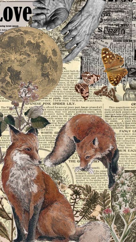 #nature #fox #foxes Fox Athstetic, Fox Phone Wallpaper, Fox Paw Print, Foxes Aesthetic, Fox Wallpaper Aesthetic, Fox Collage, Fox Pretty, Wilderness Aesthetic, Fox Paws