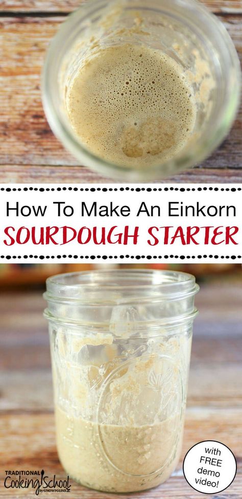 Sourdough Starter Video, Whole Wheat Sourdough Starter, Einkorn Sourdough Starter, Wheat Sourdough Starter, Macro Eating, Einkorn Sourdough, Starter Sourdough, Make A Sourdough Starter, Fermented Recipes