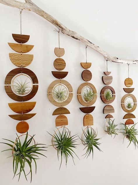 Air Plant Wall Display, Plant Wall Display, Air Plant Wall, Carillons Diy, Airplant Wall, Air Plants Decor, Bohemian House Decor, Plant Wall Art, Wall Displays