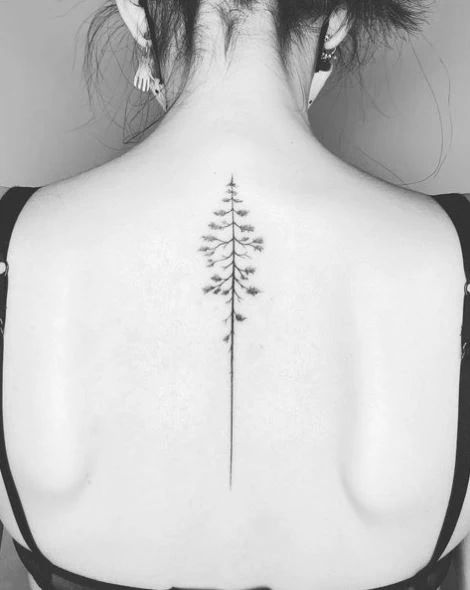 The Pine Tree Tattoo Meaning And 105 Powerful Tattoos To Compel You Simple Tree Tattoo, Tato Geometris, Tree Tattoo Meaning, Pine Tattoo, Tree Tattoo Back, Tattoo Tree, Tree Tattoo Small, Pine Tree Tattoo, Stylish Tattoo