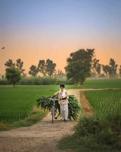 Punjab Aesthetic, Culture Of Punjab, Agriculture Pictures, Punjabi Aesthetic, Punjab Culture, Farmer Photography, Agriculture Photography, Friendship Photography, Punjabi Culture