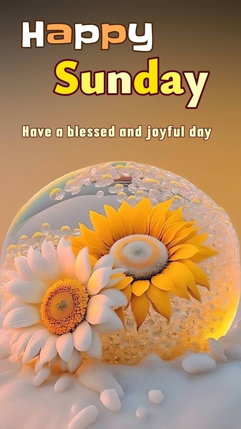 Happy Sunday! May the sunshine radiate from within you today! 🌞 Happy Blessed Sunday, Sunday Wallpaper, Happy Sunday Messages, Sunday Morning Images, Sunday Morning Wishes, Happy Sunday Images, Good Morning Sunday Images, Maha Shivaratri, Happy Good Morning Images