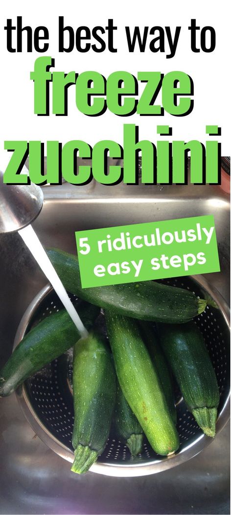 Can You Freeze Zucchini, How To Freeze Zucchini, Canned Zucchini, Freezing Zucchini, Preserving Vegetables, Freezing Vegetables, Easy Zucchini Recipes, Canning Vegetables, Canning Food Preservation