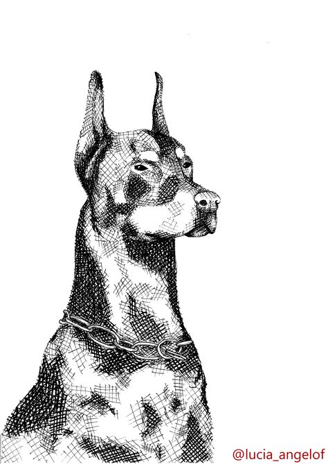 Hatching Animal Drawing, Black And White Shaded Drawings, Cross Hatching Drawing Portrait, Cross Hatch Tattoo, Cross Hatching Drawing Easy, Cross Shading, Cross Hatching Shading, Cross Hatching Art, Dog Ink Drawing