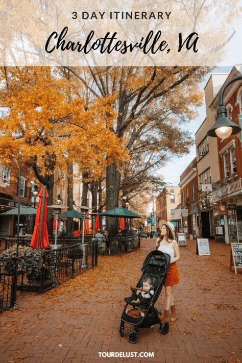 Charlottesville Virginia Fall, Charolettesville Virginia, Charlotsville Virginia, Charlottesville Virginia Bachelorette, Things To Do In Charlottesville Va, Charlottesville Virginia Things To Do, Virginia Travel Places To Visit, Visit Virginia, Travel Virginia