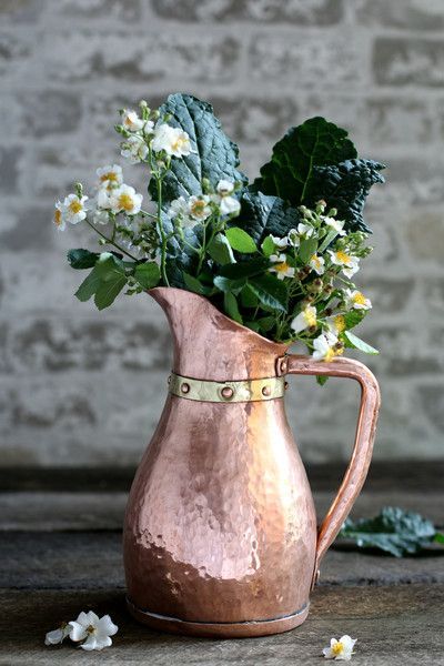 11 Chic Copper Decor Pieces to Make Your Home Shine Copper Kitchen Accents, Old World Kitchens, نباتات منزلية, Copper Decor, Copper Kettle, Copper Cookware, Copper Accents, Copper Pots, Vase Arrangements