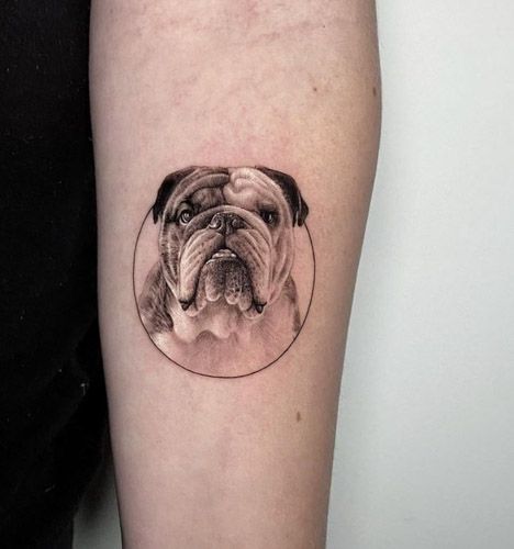 Minimalist Bulldog Tattoo, Small Bulldog Tattoo, Old English Bulldog Tattoo, British Bulldog Tattoo, Bulldog Memorial Tattoo, Tattoo With Frame, American Bulldog Tattoo, Bulldog Tattoo Ideas, Milo Tattoo