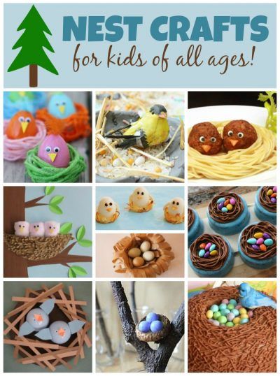 Bird Nest Crafts, Crafts For Kids Spring, Edible Bird's Nest, Habitat Project, Bird Nest Craft, Animal Habitat, Recycled Crafts Kids, Edible Crafts, Nature Walk