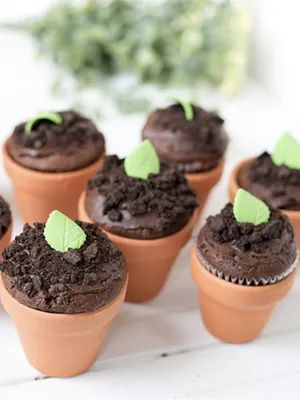 Earth Day Desserts, Food Recipes For Dinner, Kids Market, Dinner Desserts, Chocolate Fudge Frosting, Digital Coupons, Cute Cupcakes, Themed Cupcakes, Creamy Chocolate