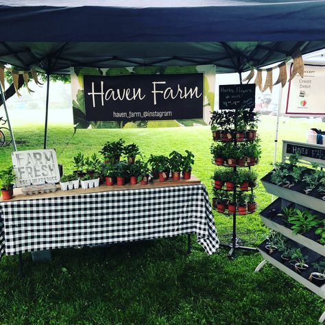 Plant Farmers Market, Farmers Market Herbs, Farmers Market Table Display Ideas, Plant Sale Display Craft Fairs, Plant Market Display, Farmers Market Stalls, Farmers Market Plant Stand, Farmers Market Vegetable Display, Farm Stand Decor