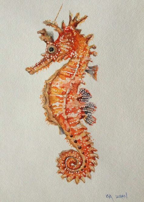 Seahorse Seahorse Watercolor, Paint Lessons, Seahorse Painting, Seahorse Tattoo, Seahorse Art, Sea Horse, Seahorses, Sea Art, Watercolor Inspiration