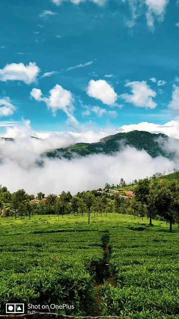 #ooty #nilgirihills #shotononeplus #india #nature | prakhar sikarwar | Flickr India Nature, Ooty, Nature Images, Fashion Girl, Vision Board, India, Natural Landmarks, Collage, Photography