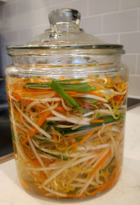 Katie's Test Kitchen - Pickled Bean Sprouts (Dưa Giá) Soybean Sprouts Recipe, Mung Bean Sprouts Recipes, Pickled Bean Sprouts, Bean Sprouts Recipes, Pickling Ideas, Fermented Herbs, Soybean Sprouts, Bean Sprout Recipes, Pickled Foods