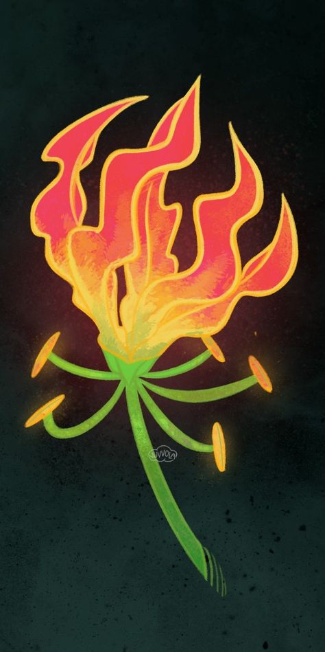 Fire or flower? Enjoy the dance of the petals / flames of the beautiful gloriosa superba lily plant. Hope you like my botanical art illustration! Having fun with botanical illustrations! Follow the link to get posters, stickers, t-shirts and many other products with this floral design! Fantasy Plant Drawing, Fire Lily Drawing, Flame Lily Drawing, Fire Illustration Art, Fire Illustration Design, Flower On Fire, Flames Illustration, Flame Illustration, Gloriosa Superba