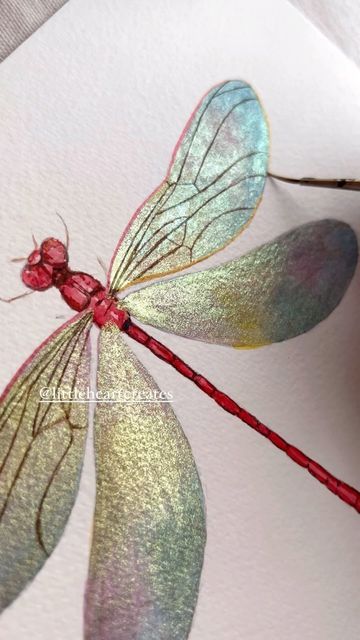 How To Draw A Dragonfly, Dragon Fly Paintings, Dragon Fly Drawings, Dragonfly Art Painting, Mindfullness Aesthetic, Metallic Watercolor Painting Ideas, Dragon Fly Drawing, Dragonfly Aesthetic, Dragonfly Watercolor Painting