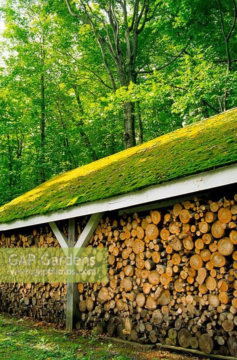 Log store with moss covered roof Moss Roof, Bin Design, Garden Business, Underground House, Growing Moss, Backyard Views, Kayak Storage, Green Roofs, Log Store