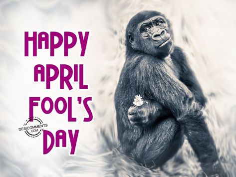 Happy April Fools Day Images, April Fools Day Image, Happy Anniversary Wedding, Happy April, April Fool, Day Pictures, Fools Day, Days And Months, 1 April