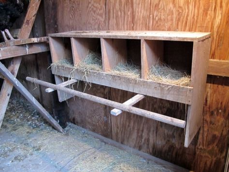 Nesting boxes for the coop Diy Chicken Nesting Boxes, Chicken Coop Plans Free, Chicken Coop Pallets, Mobile Chicken Coop, Chicken Coop Garden, Chicken Nesting Boxes, Diy Chicken Coop Plans, Coops Diy, Best Chicken Coop