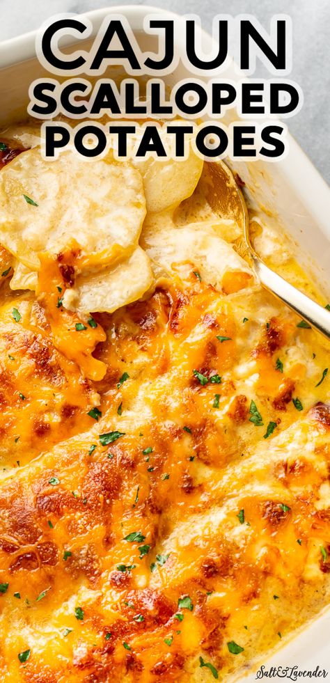 New Orleans Potatoes, Thanksgiving Southern Sides, Cajun Potato Casserole, Southern Scalloped Potatoes Recipe, Cajun Cuisine Recipes, Cajun Scalloped Potatoes, Spicy Scalloped Potatoes, Mexican Scalloped Potatoes, Scalloped Potatoes Dinner Meals