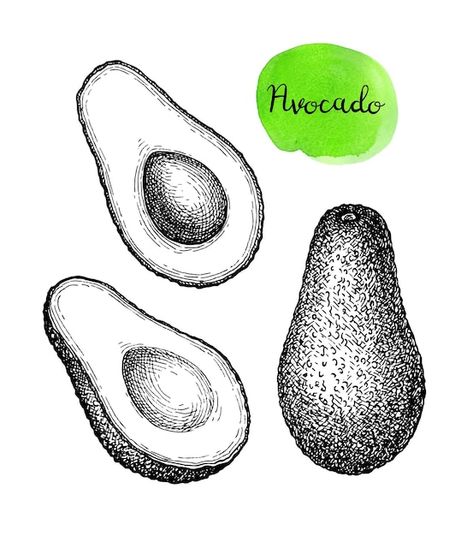 Merchandise Design Ideas, Avocado Design, Pot Art, Hand Drawn Vector Illustrations, Collage Illustration, Eco Printing, Ink Sketch, Merchandise Design, Pencil Sketch