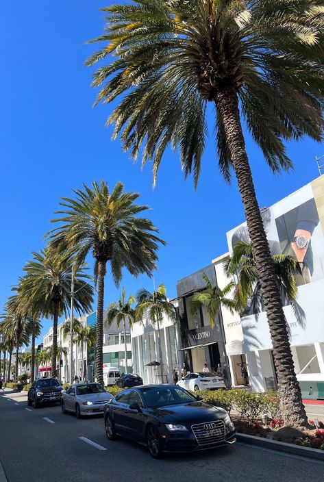 A dose of Rodeo Drive for your feed 🌴 #OnlyOnRodeo

Palm Trees, Shopping, Shopping Plans, Wallpaper, Cars, LA Rodeo Drive Aesthetic, Rodeo Drive Shopping, Actress Life, Drive Aesthetic, Angeles Aesthetic, Los Angeles Aesthetic, California Aesthetic, Shopping Aesthetic, Winter Arc