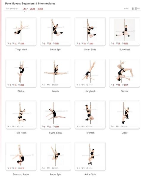 Pole Beginner, Aerial Pole, Pole Fitness Beginner, Meditation Techniques For Beginners, Pole Fitness Inspiration, Marathon Training For Beginners, Pole Fitness Moves, Pole Dance Fitness, Pool Dance