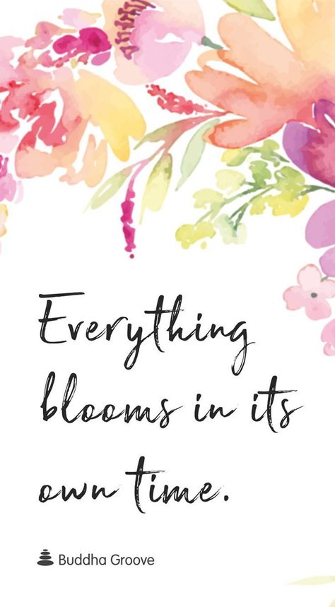 Inspiration for Bloom  #gardeningquotes Check more at http://decoration.stream/inspiration-for-bloom/ Beautiful Flower Quotes, Ftd Flowers, Bloom Quotes, Floral Quotes, Spring Quotes, Garden Quotes, Motiverende Quotes, Flower Quotes, Nature Quotes