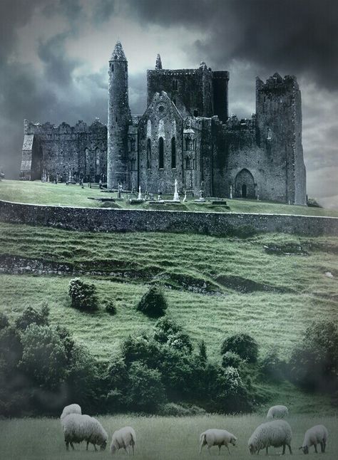 Irish Gothic Castle. Cashel Ireland, Rock Of Cashel, Castles In Ireland, Real Estat, Irish Art, Dream Living, Beautiful Castles, Medieval Castle, Ireland Travel