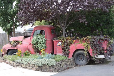 Vintage truck planter #Planter, #Truck, #Vintage Truck Planter, Old Red Truck, Unusual Planter, Patio Pergola, Flower Truck, Lawn Art, Old Truck, Unusual Plants, Garden Containers