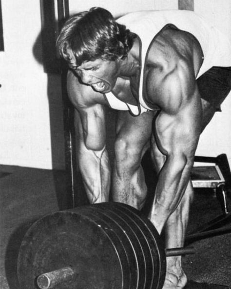 Golden Era Bodybuilding, Old Bodybuilder, Arnold Schwarzenegger Bodybuilding, Aesthetics Bodybuilding, Schwarzenegger Bodybuilding, T Bar Row, Bodybuilding Pictures, Vision Board Images, Brand Refresh