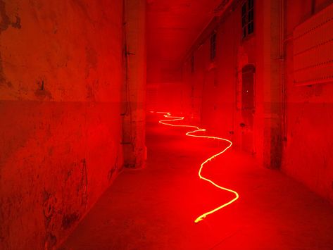 Neon Rouge, Cool Neon Signs, Red Aesthetic Grunge, Studio Photography Fashion, Different Shades Of Red, Neon Words, A Love So Beautiful, Neon Aesthetic, Red Rooms