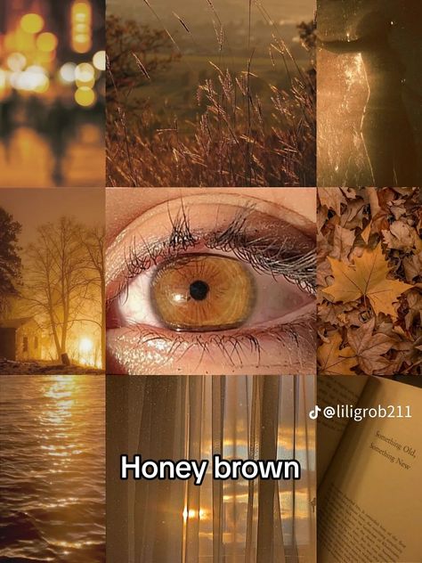 Honey Eyes Aesthetic, Honey Brown Eyes Aesthetic, Honey Colored Eyes, Eye Claim, Honey Eyes Color, Honey Brown Eyes, Pretty Eyes Color, Light Bringer, Arte Bob Marley