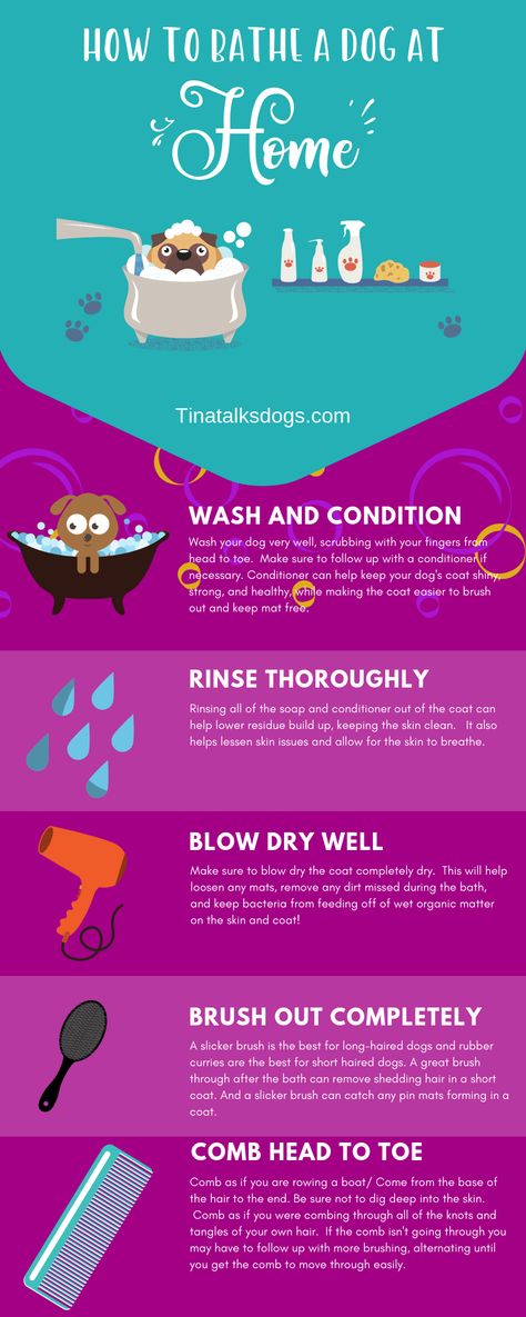 Ever wondered what the best bathe a dog at home tips are? Well look no further! As a dog groomer I am definitely helping pet parents understand how to keep up with their dog's hygiene. And it's important to properly bathe your dog as well.  I have some great dog bath tips for you!  #doggrooming #dogbathtips #brushdoghair #petgrooming #dog #doghair #dogbathdiy Dog Hygiene Tips, Matted Dog Hair, Dog Hygiene, Bath Tips, Dog At Home, Shower Tips, Dogs Tips, Long Haired Dogs, Dog Grooming Tips