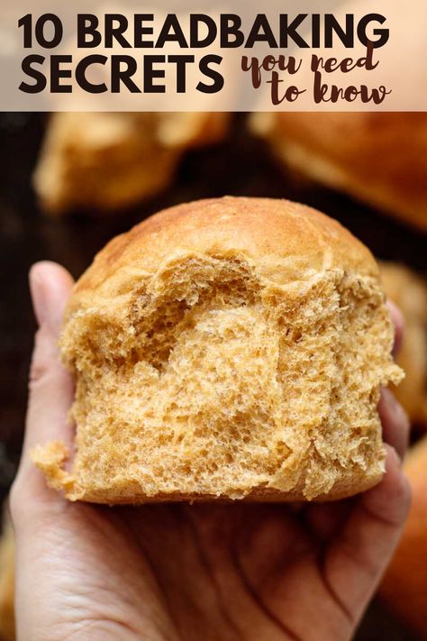 Pumpkin Dinner Rolls Recipe, Pumpkin Dinner Rolls, Bun Recipes, Pumpkin Dinner, Pumpkin Rolls, Pinoy Recipe, Pumpkin Rolls Recipe, Pumpkin Bread Easy, Chewy Bread